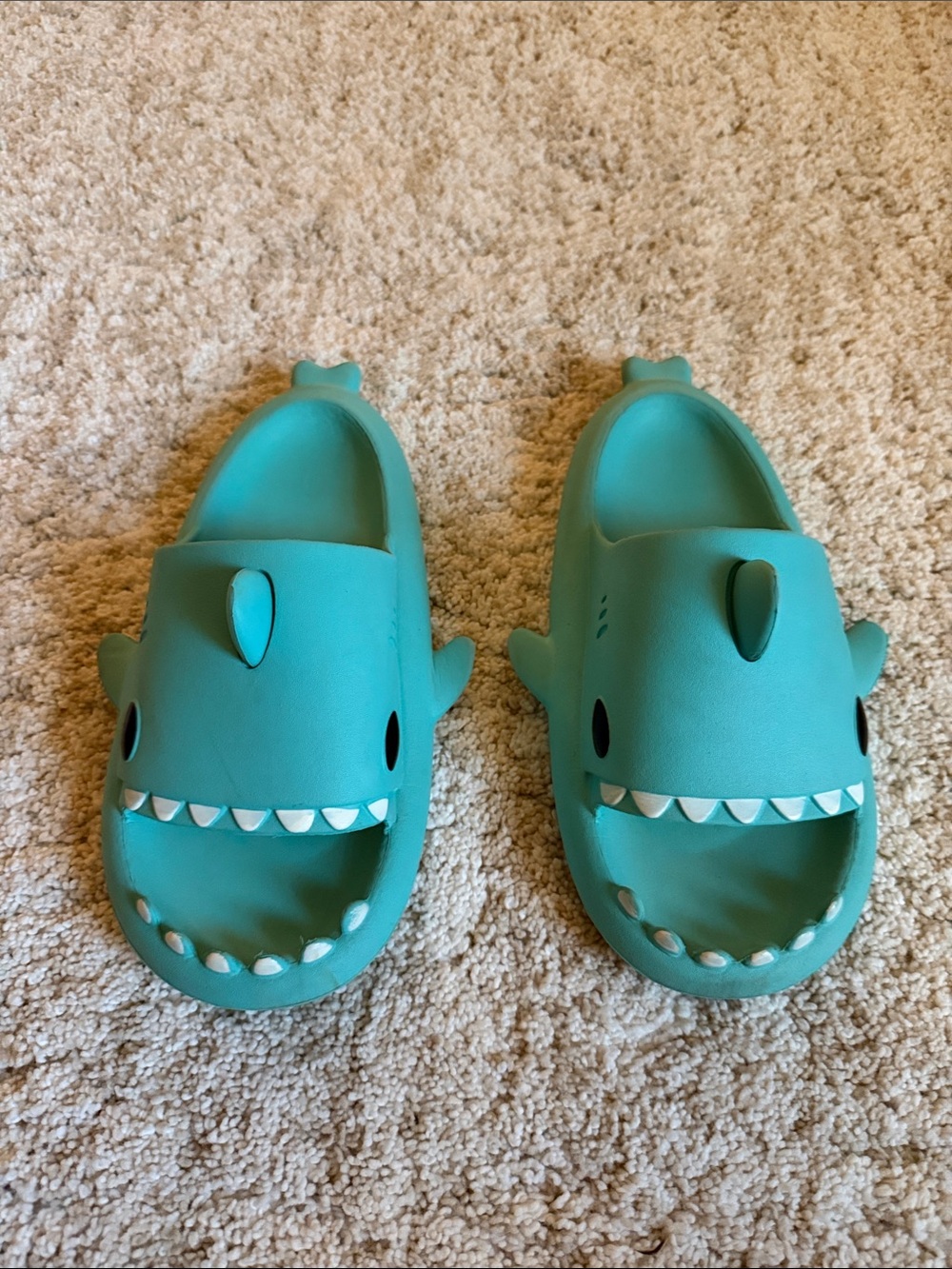 Women’s size 9 Shark Slip-On Water Shoes - Teal